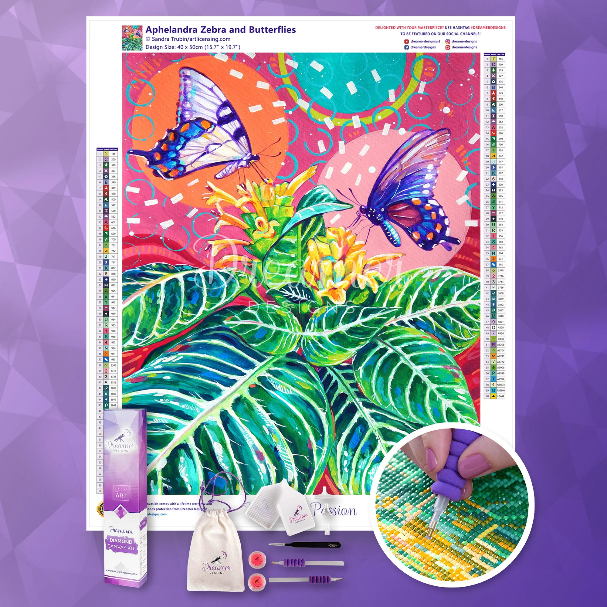 Aphelandra Zebra and Butterflies - Image 3