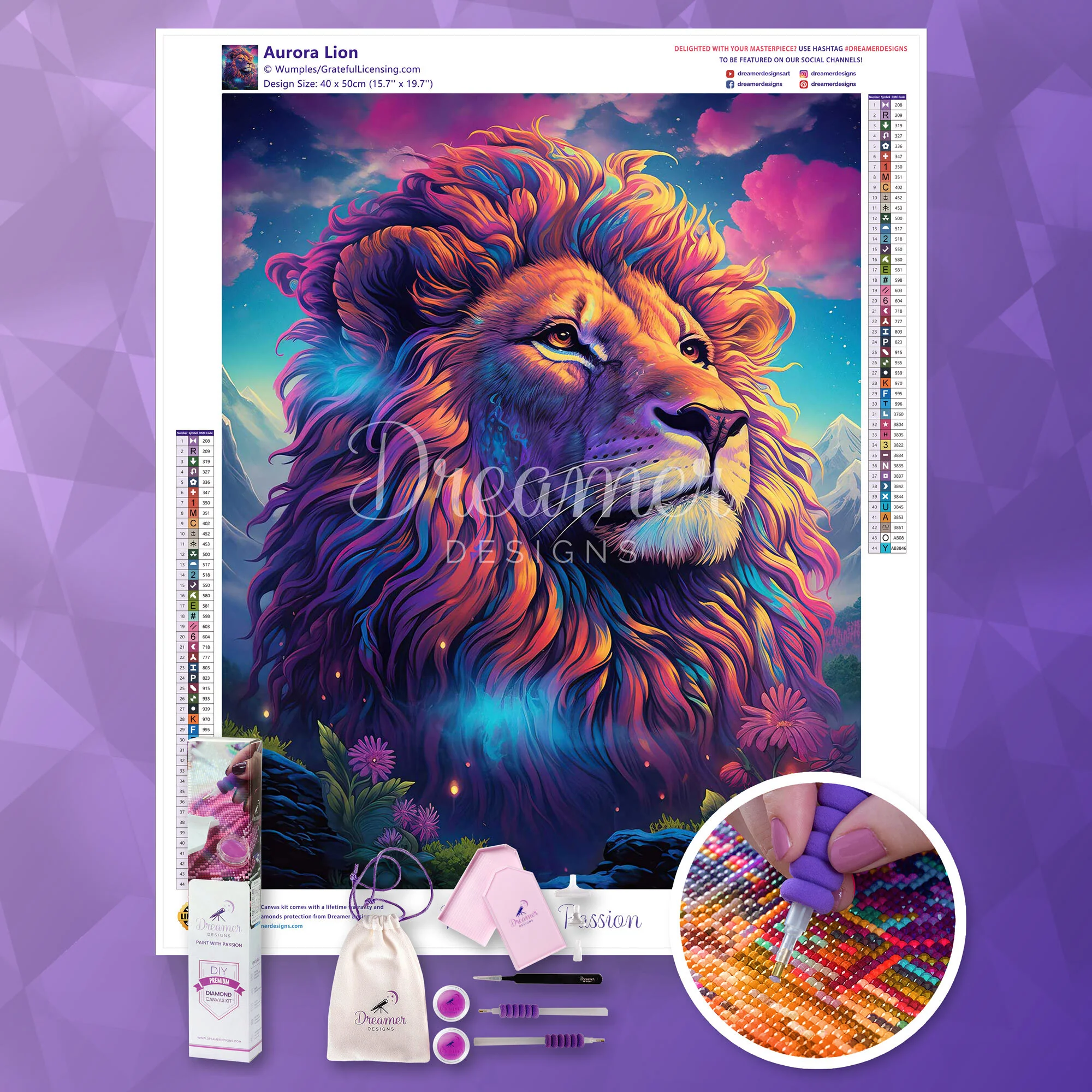 Aurora Lion - Image 4