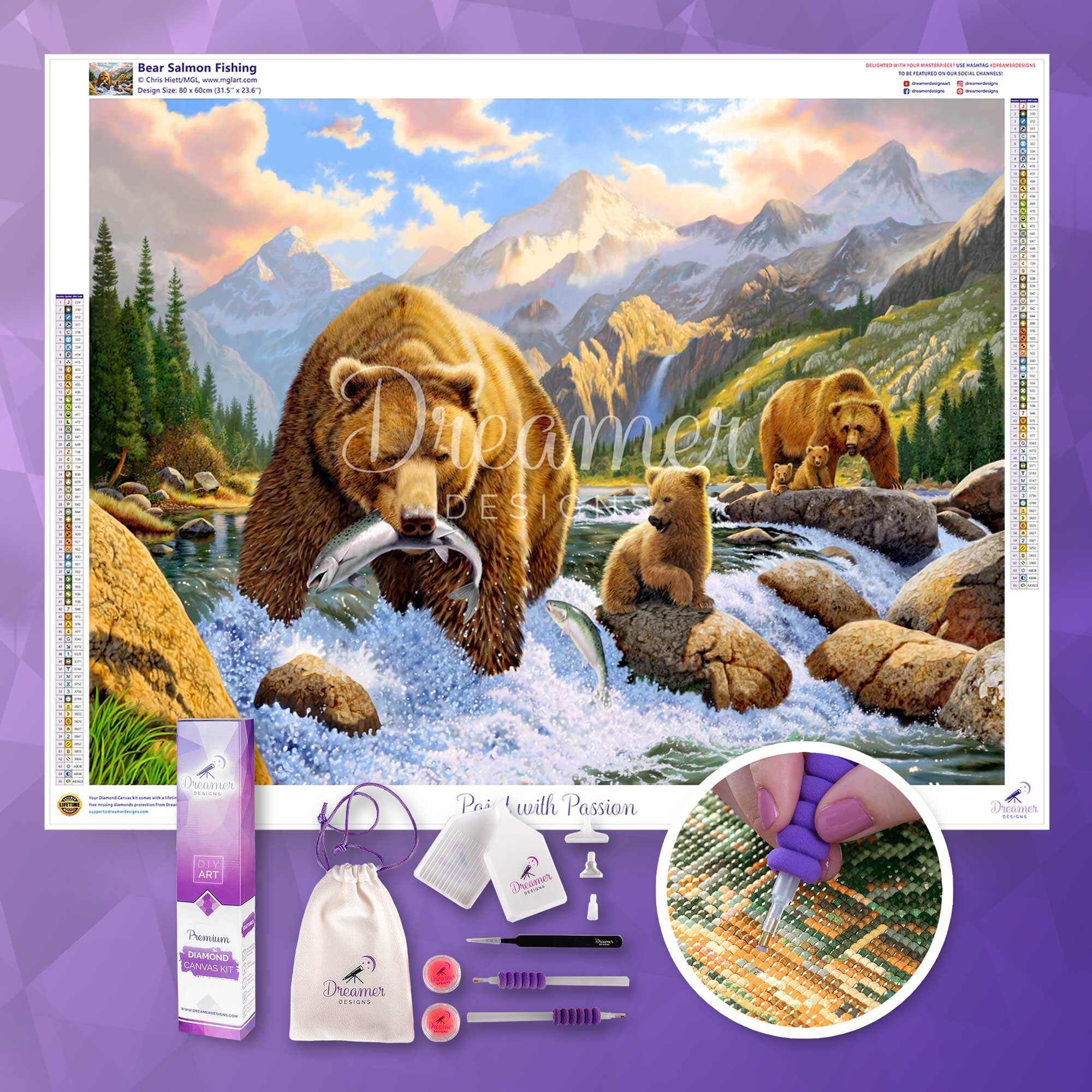 Bear Salmon Fishing - Image 3