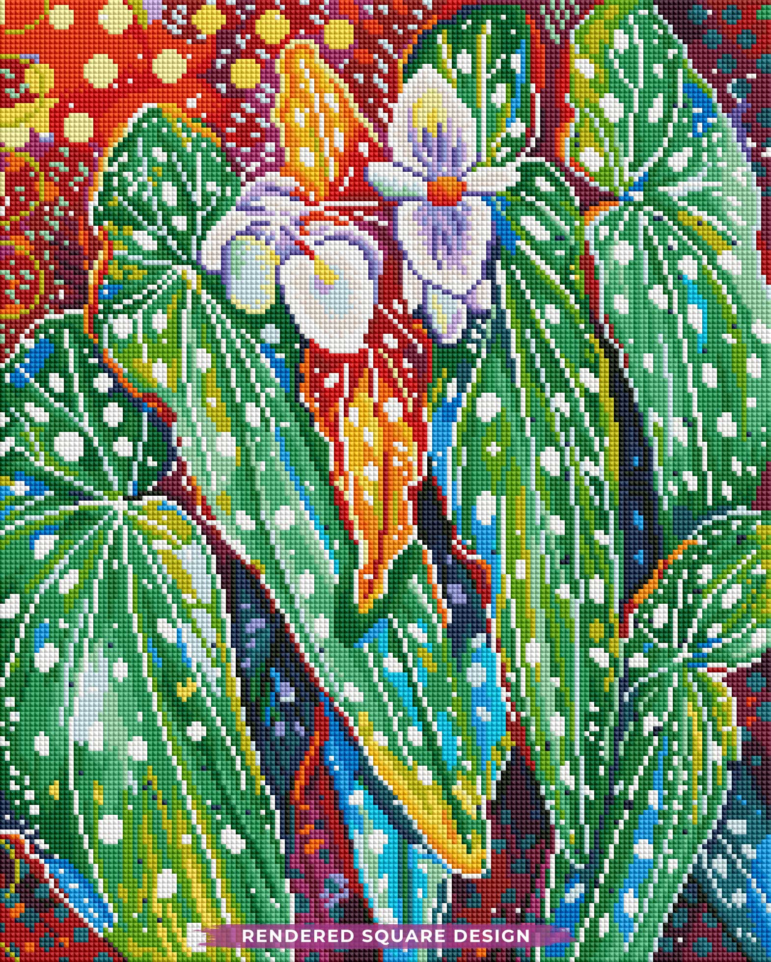 Begonia Maculata - Image 2
