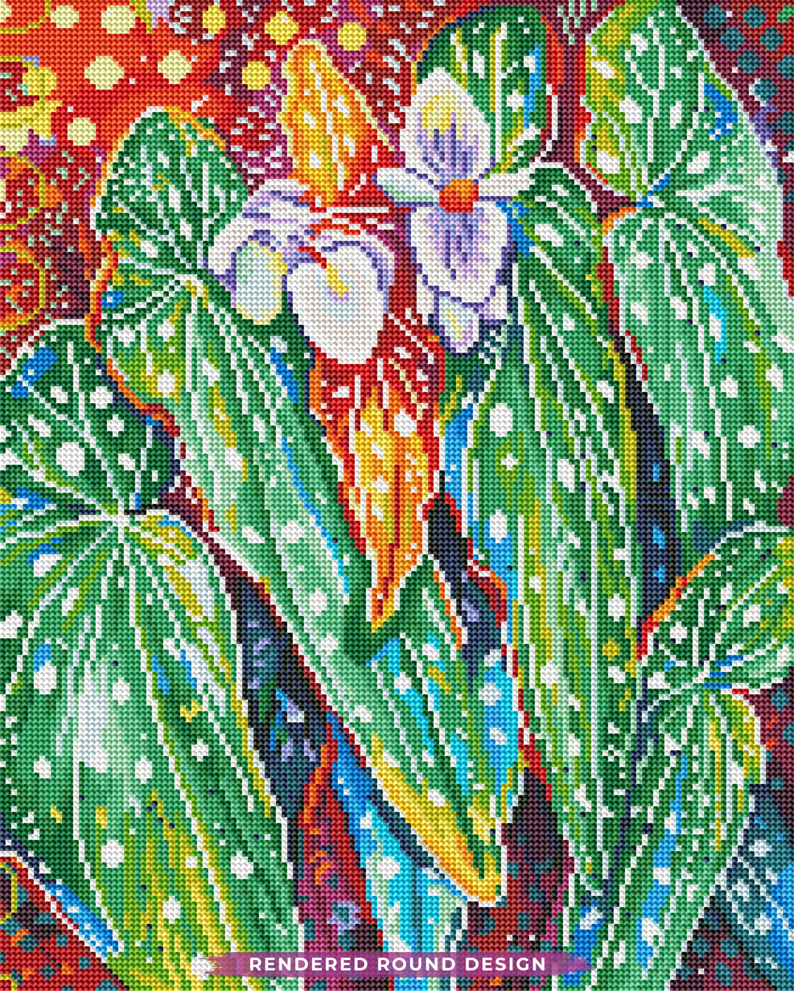Begonia Maculata - Image 3