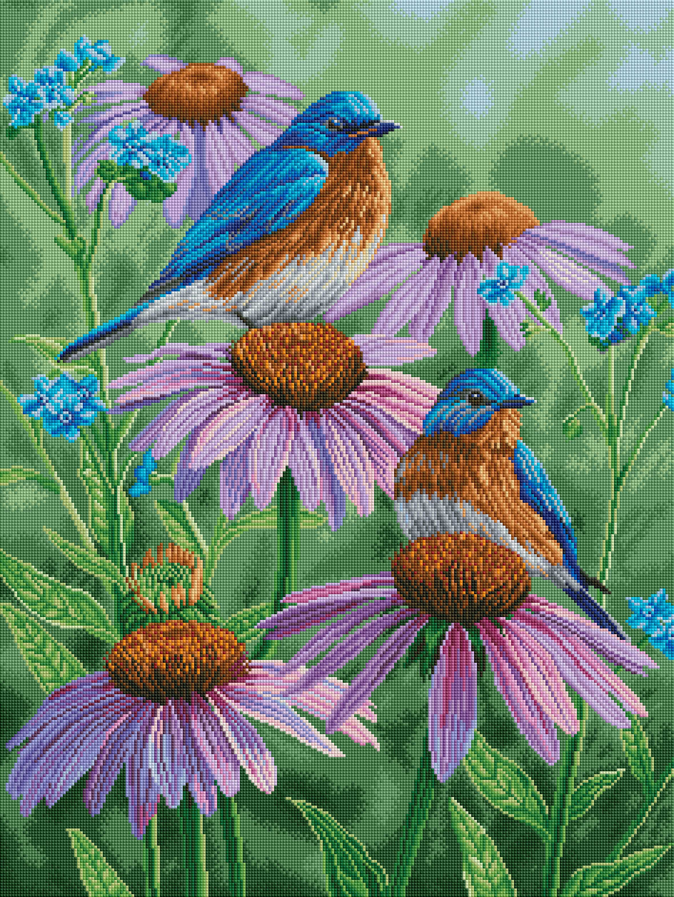 Bluebirds of Summer - Image 2
