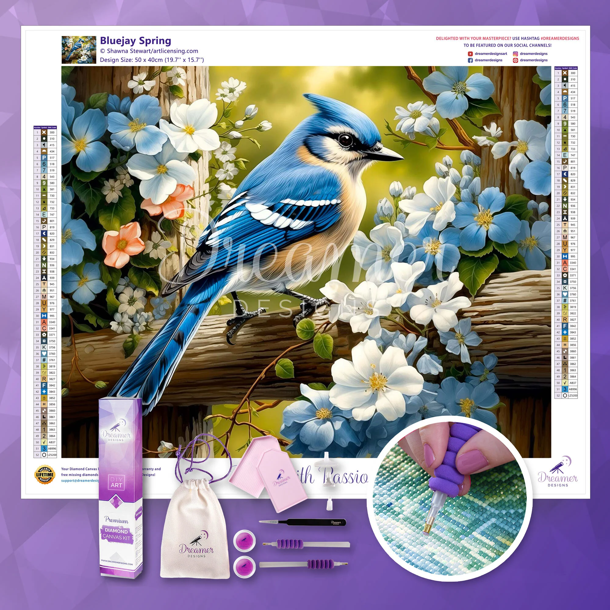 Bluejay Spring - Image 4