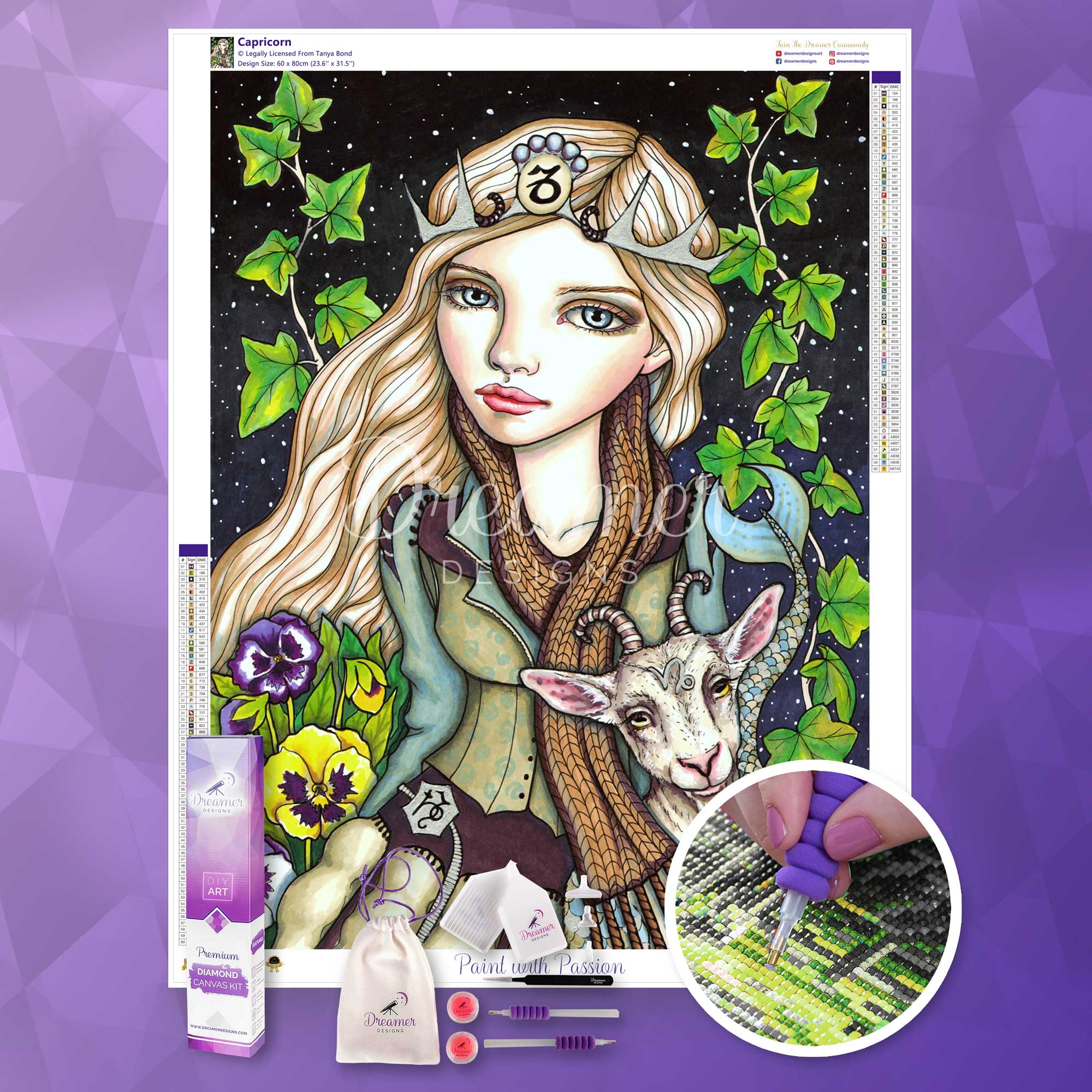 Capricorn - Image 3