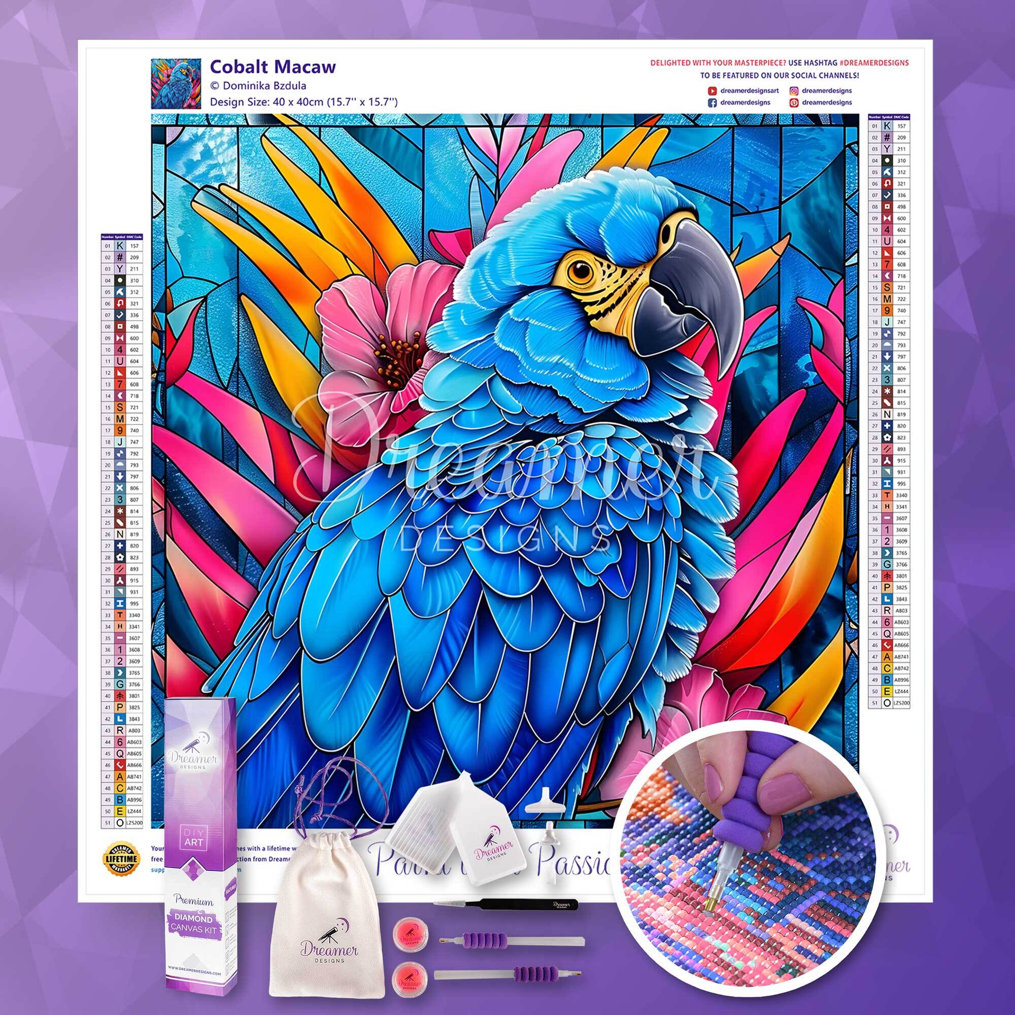 Cobalt Macaw - Image 5