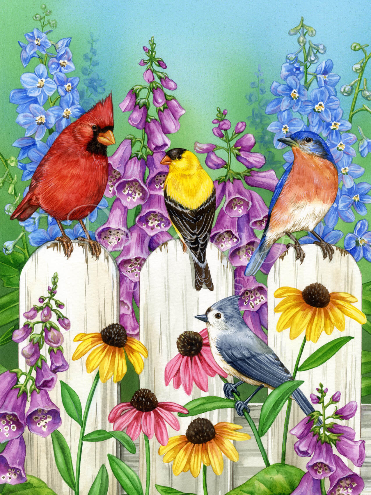 Colorful Garden
