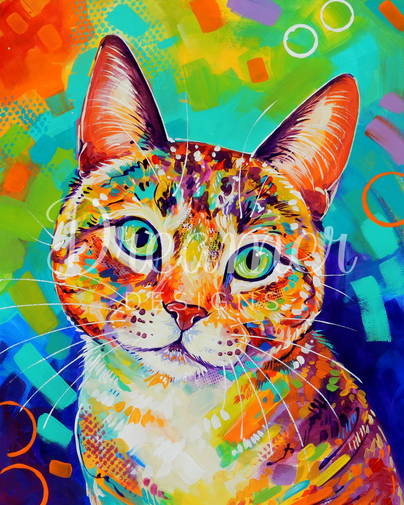 Confetti The Cat