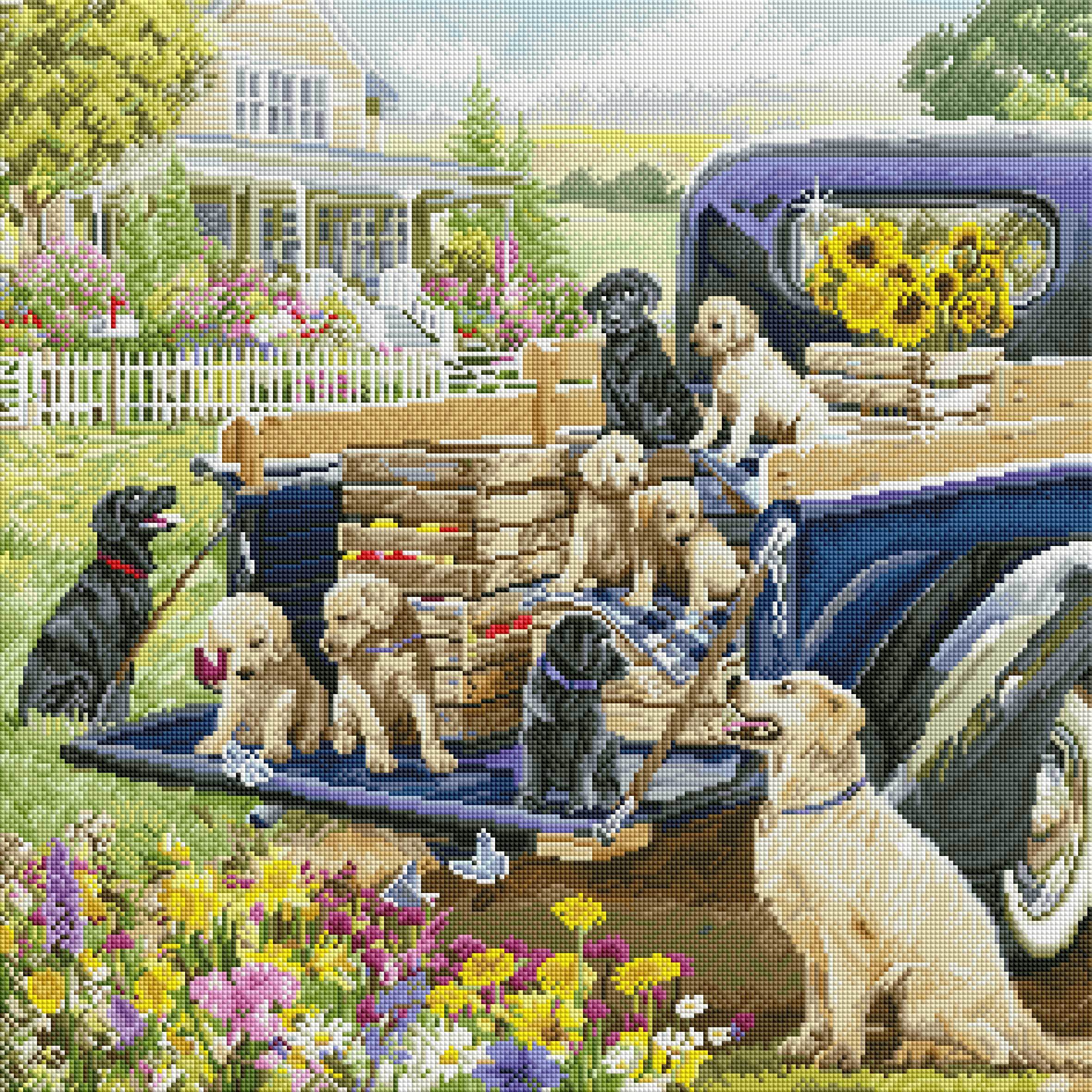 Country Life - Image 2