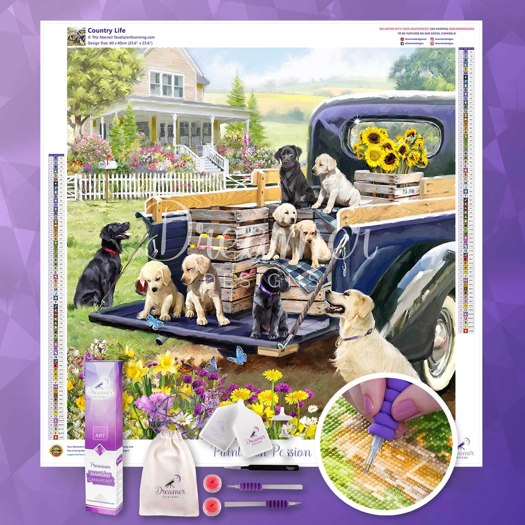 Country Life - Image 3
