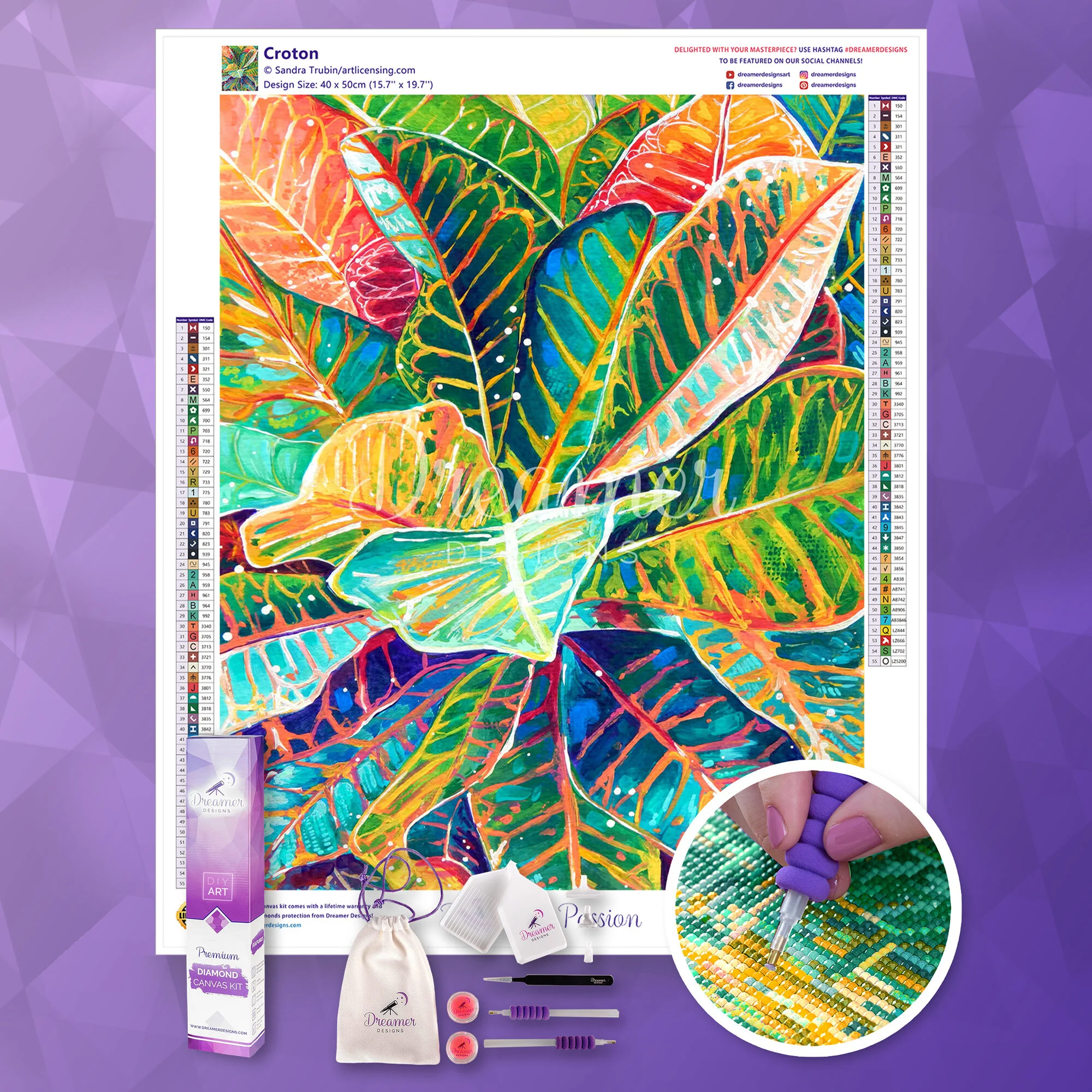 Croton - Image 3