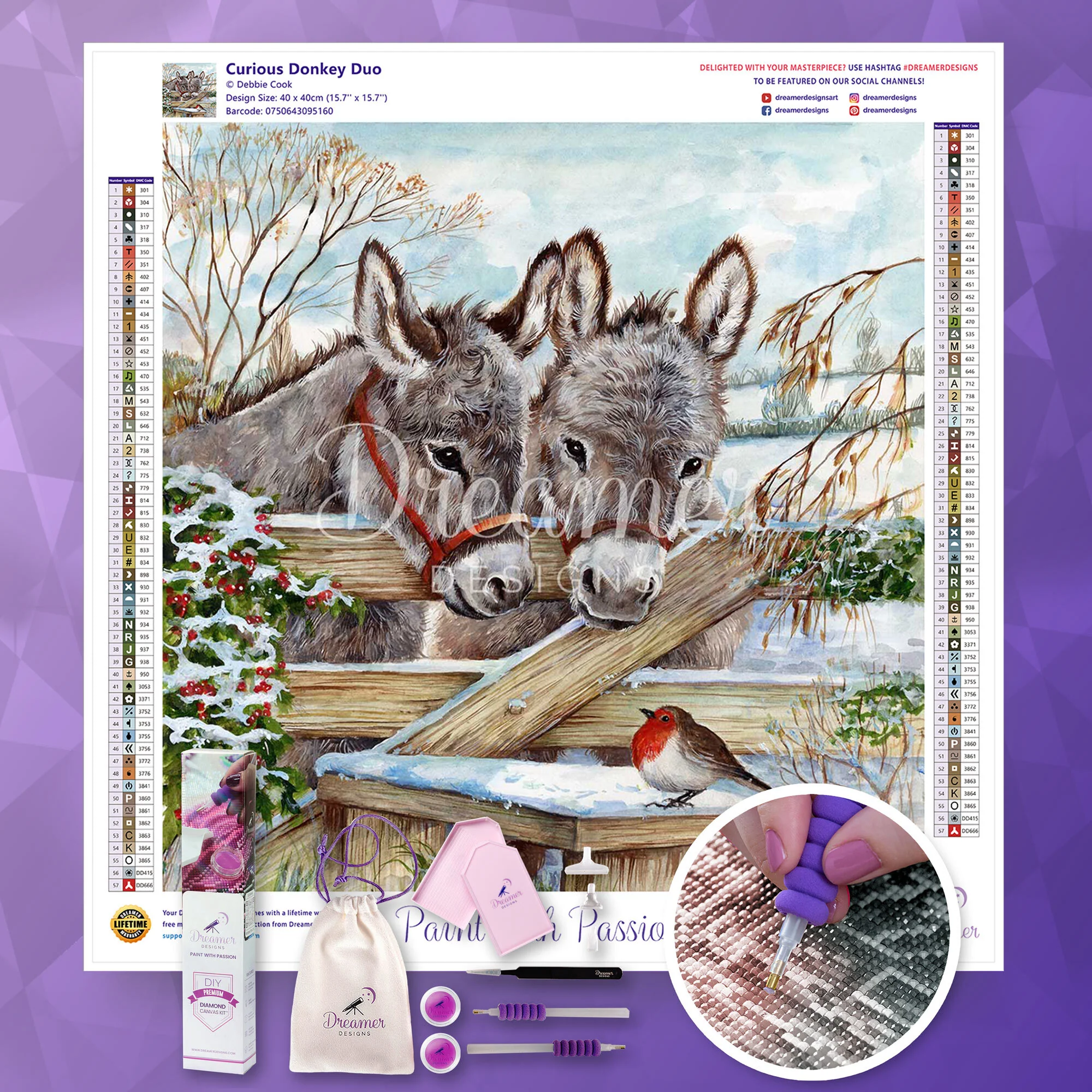 Curious Donkey Duo - Image 4