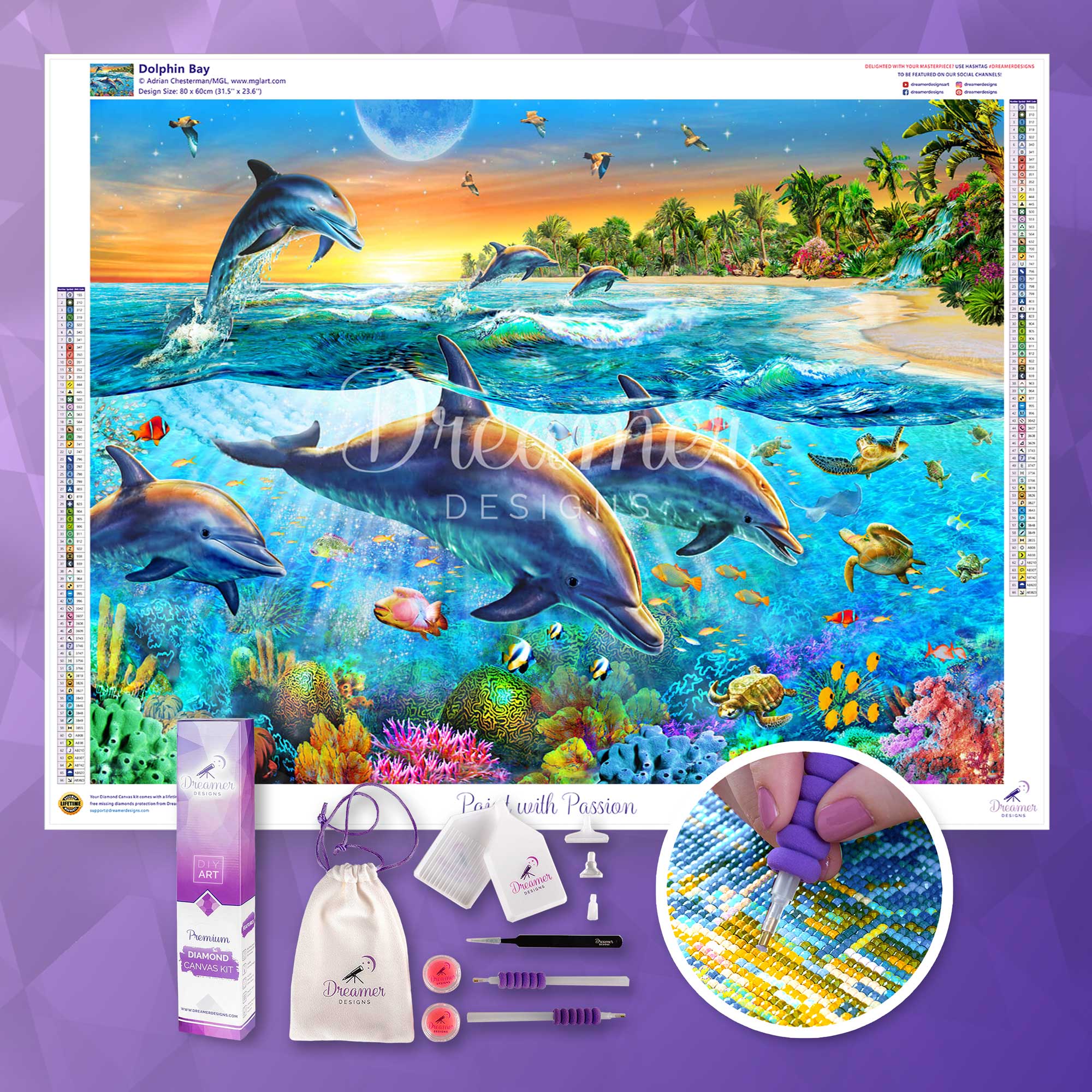 Dolphin Bay - Image 3