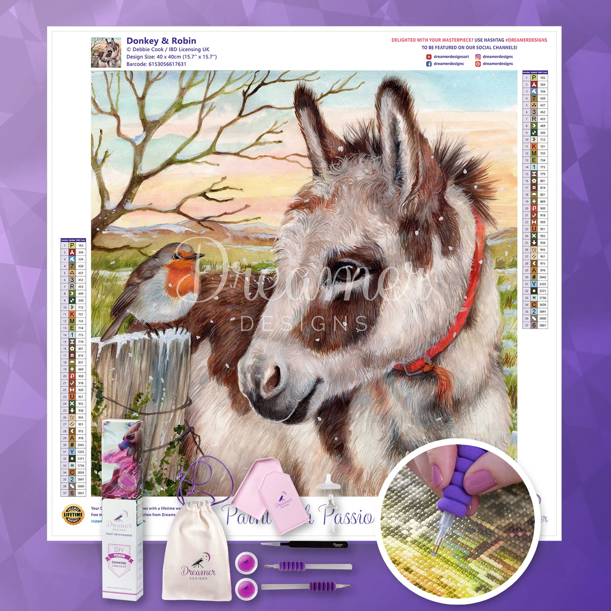 Donkey & Robin - Image 4