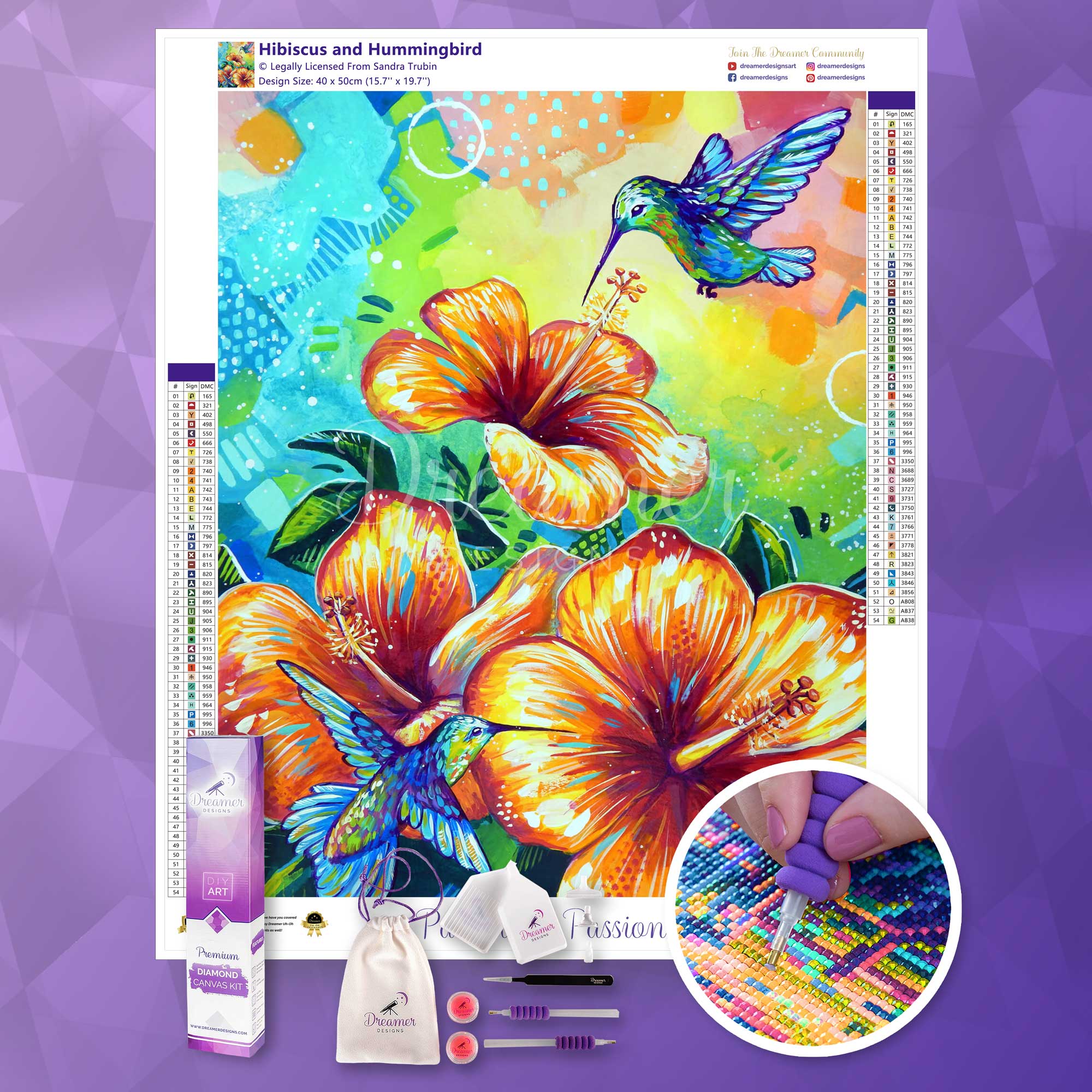 Hibiscus and Hummingbird - Image 3