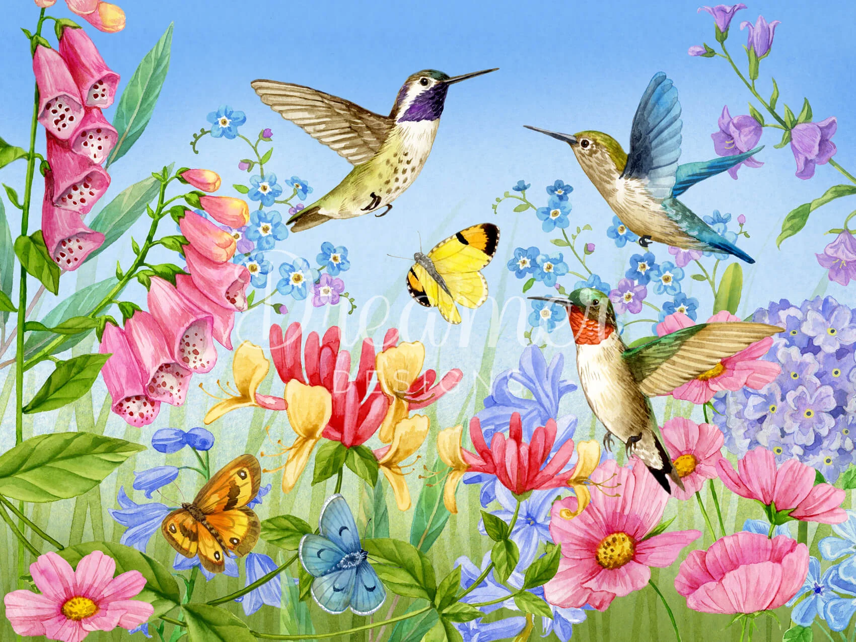 Hummingbird and Butterfly