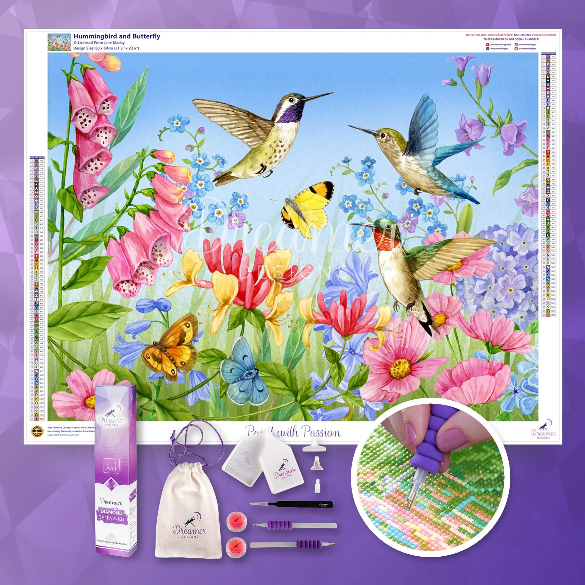 Hummingbird and Butterfly - Image 3