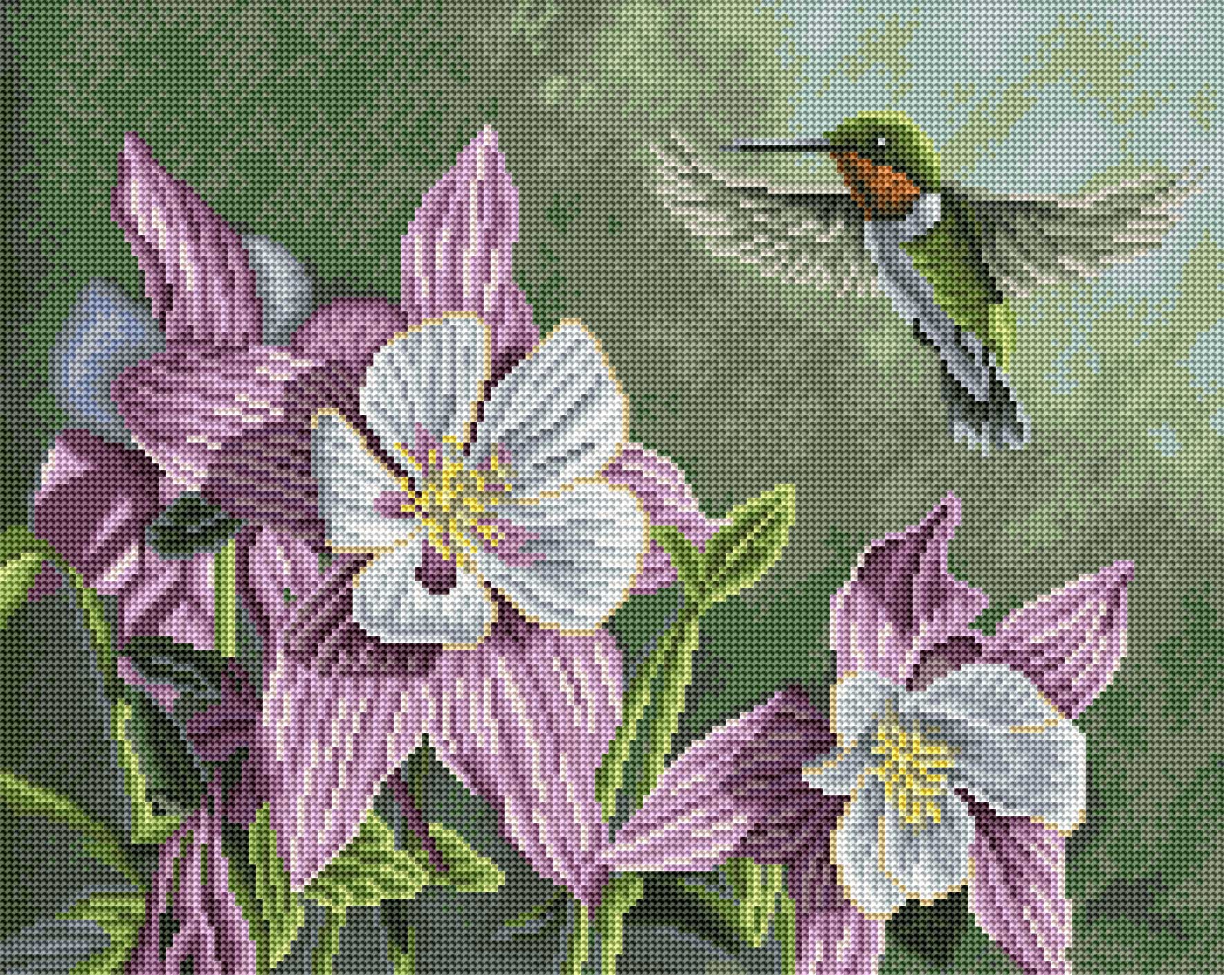 Hummingbird Pink - Image 2