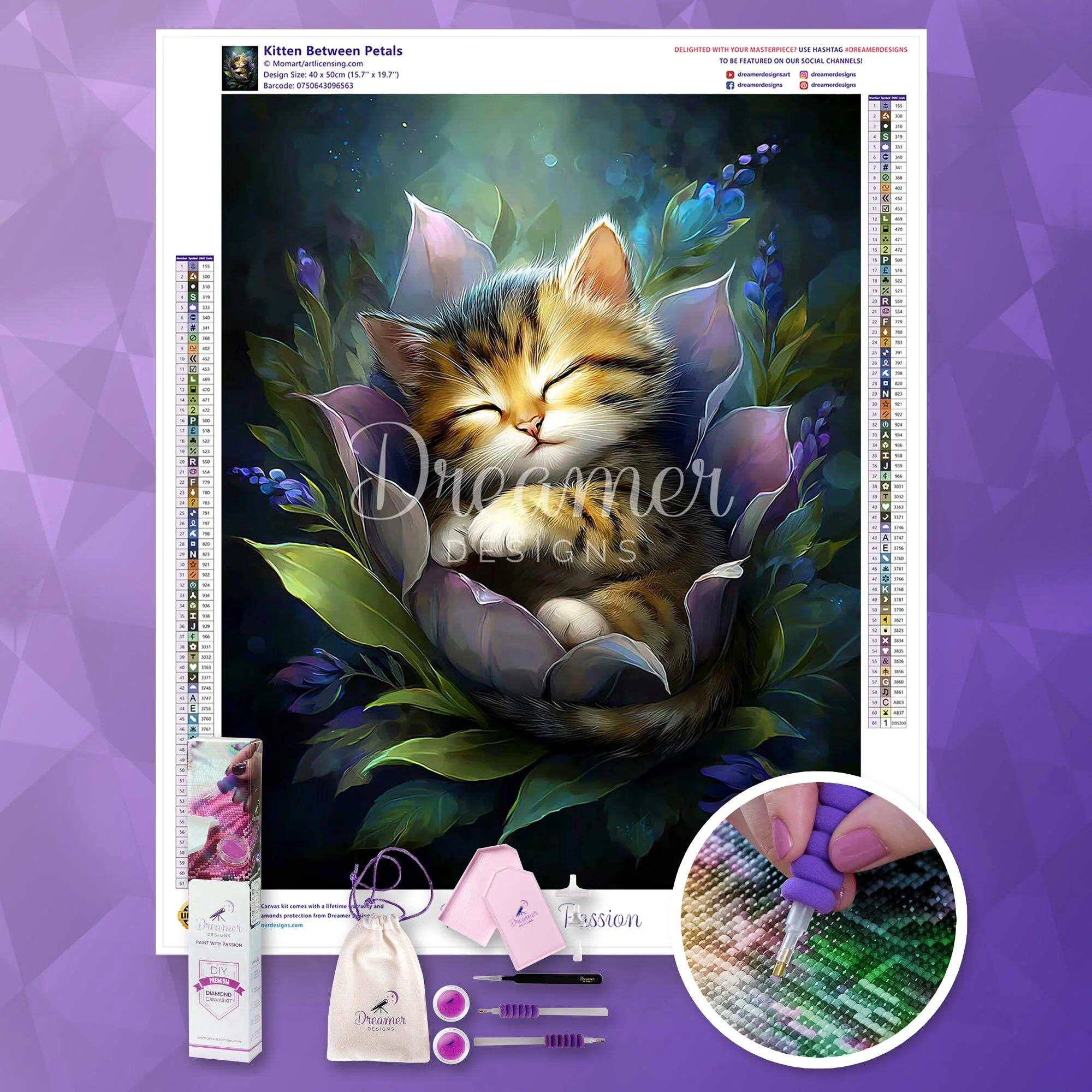 Kitten Between Petals - Image 4