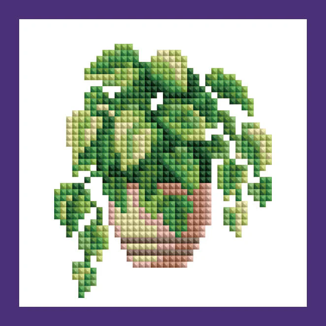 Mini Kits - House Plants Edition - Image 10