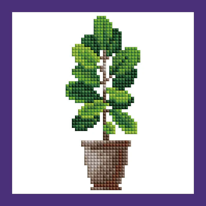 Mini Kits - House Plants Edition - Image 11