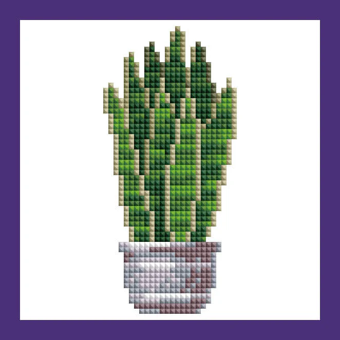 Mini Kits - House Plants Edition - Image 12
