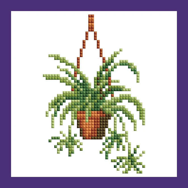 Mini Kits - House Plants Edition - Image 13