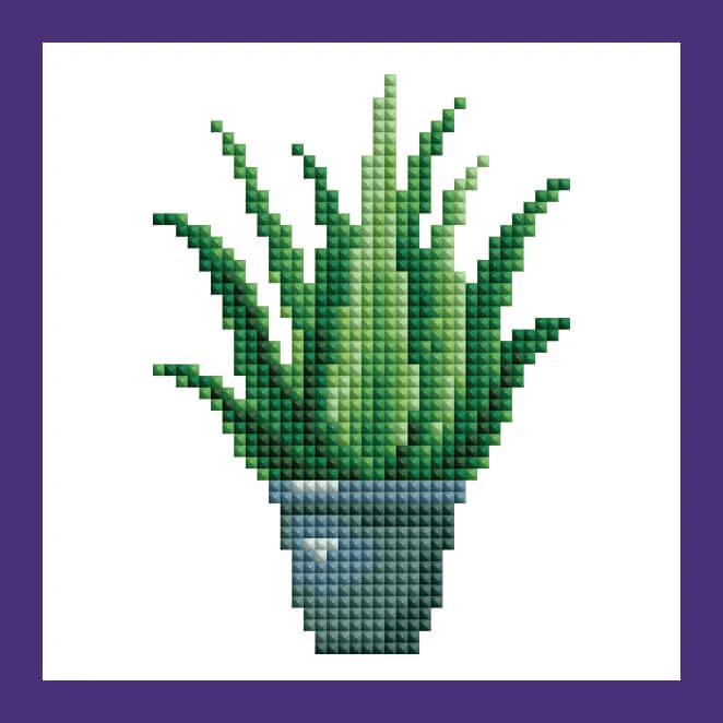 Mini Kits - House Plants Edition - Image 5