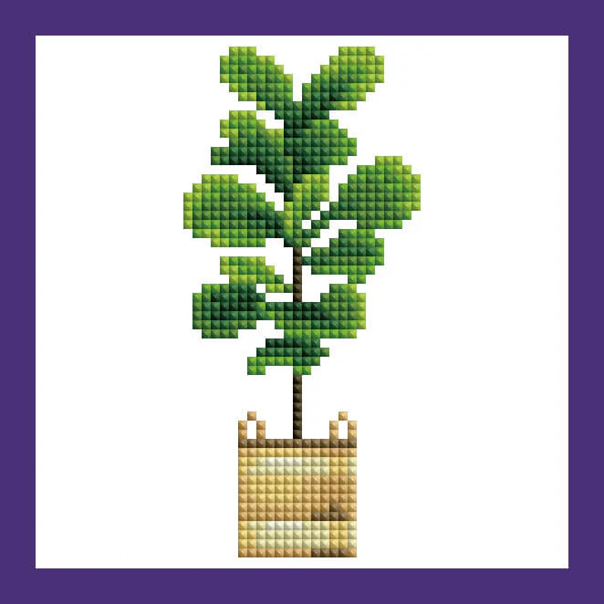 Mini Kits - House Plants Edition - Image 6