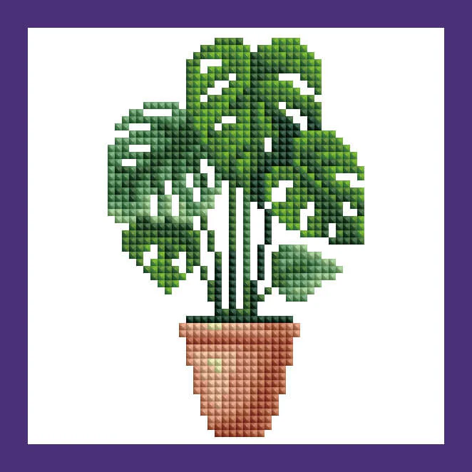 Mini Kits - House Plants Edition - Image 7