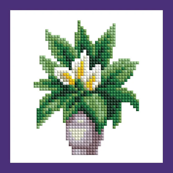 Mini Kits - House Plants Edition - Image 8