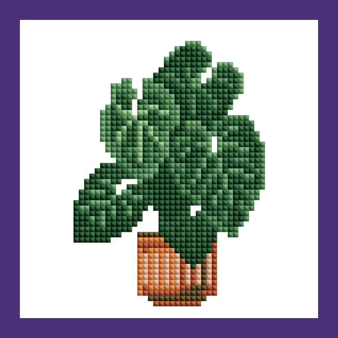Mini Kits - House Plants Edition - Image 9