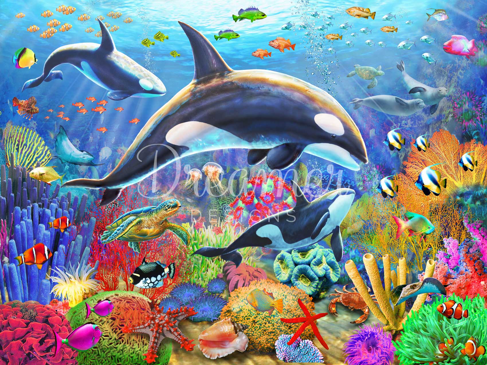 Orca Fun