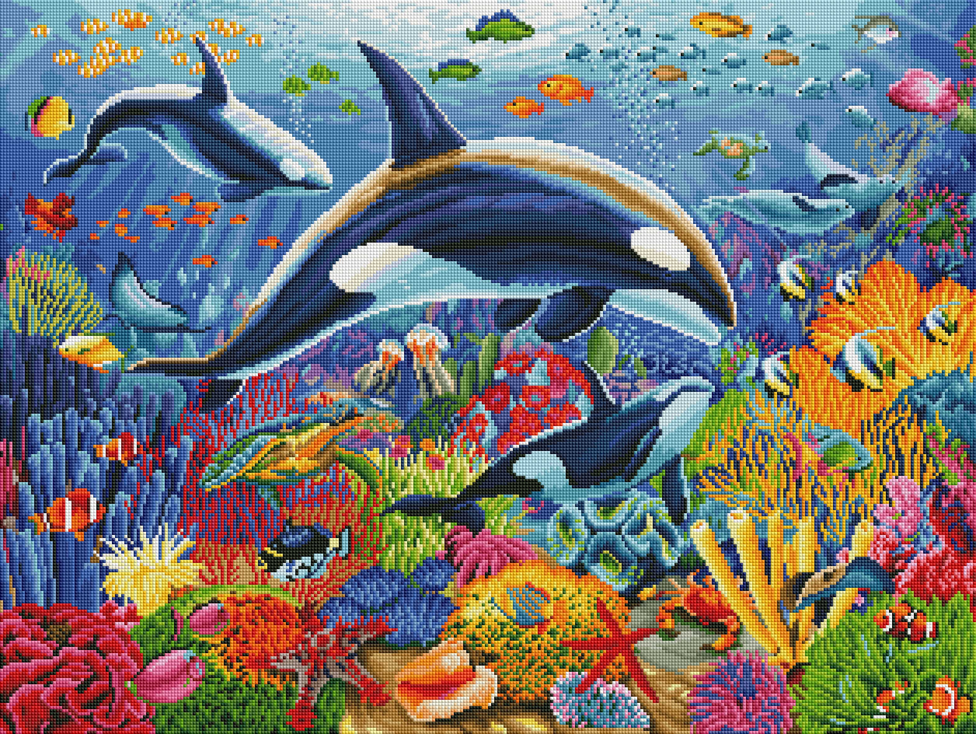 Orca Fun - Image 2