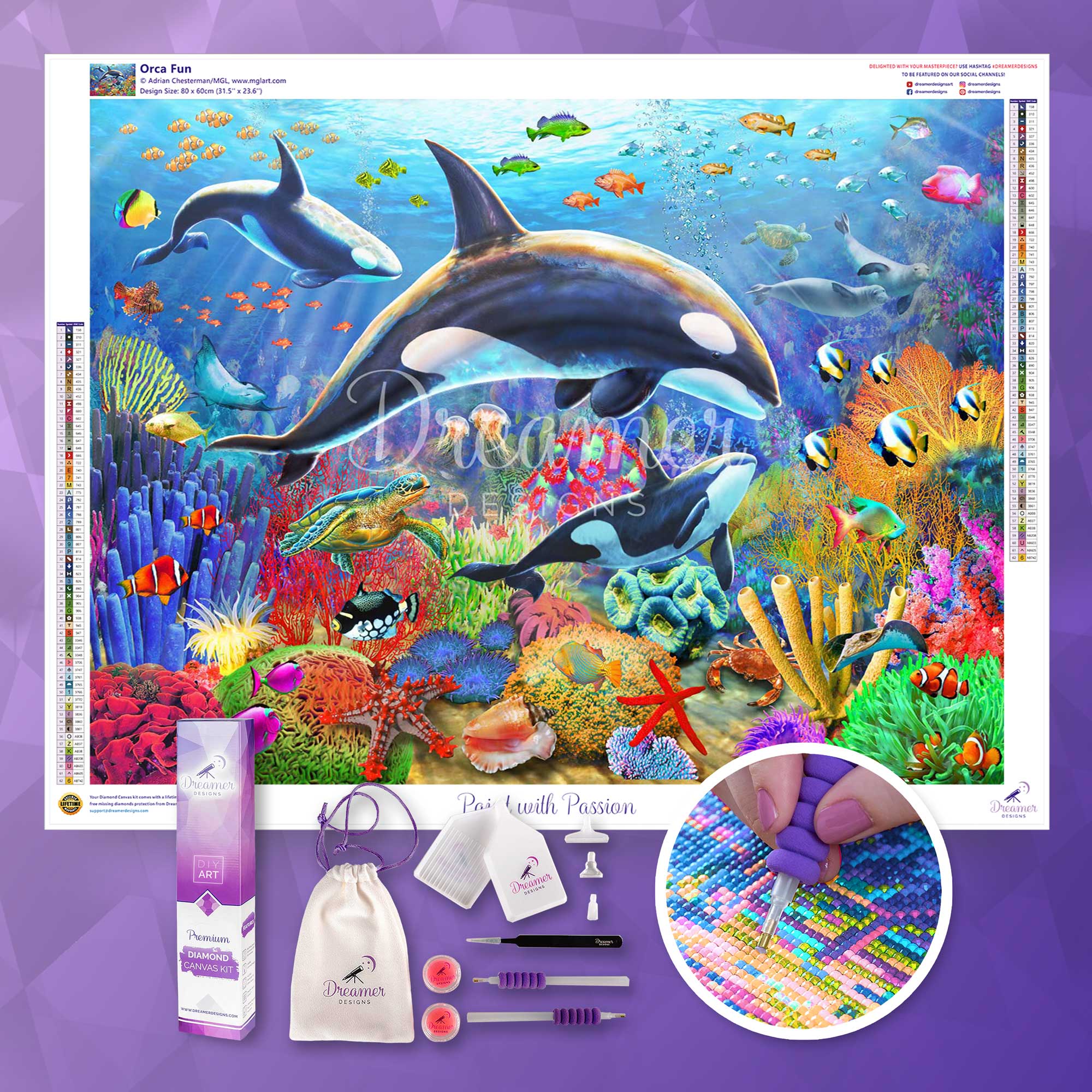Orca Fun - Image 3