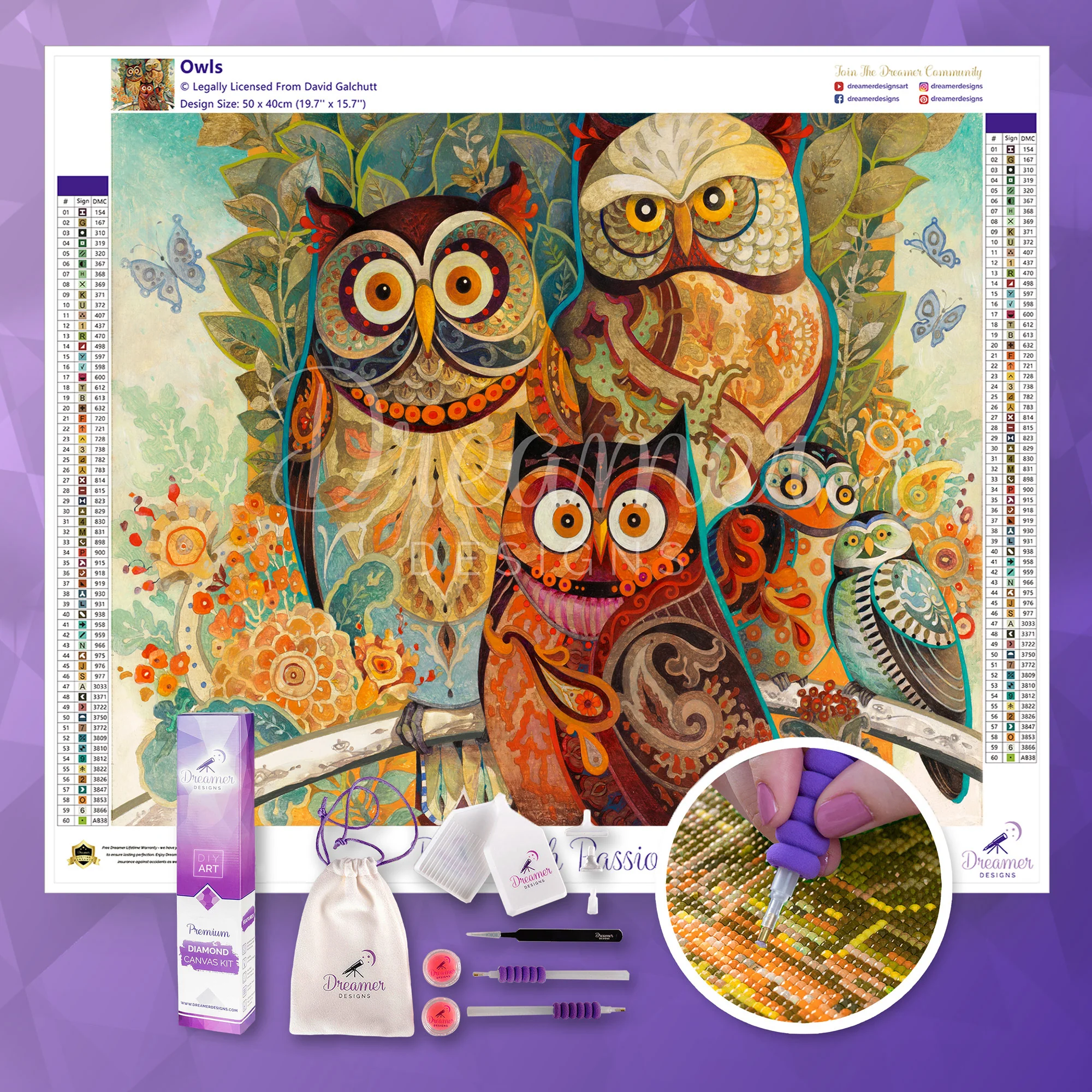 Owls - Image 3