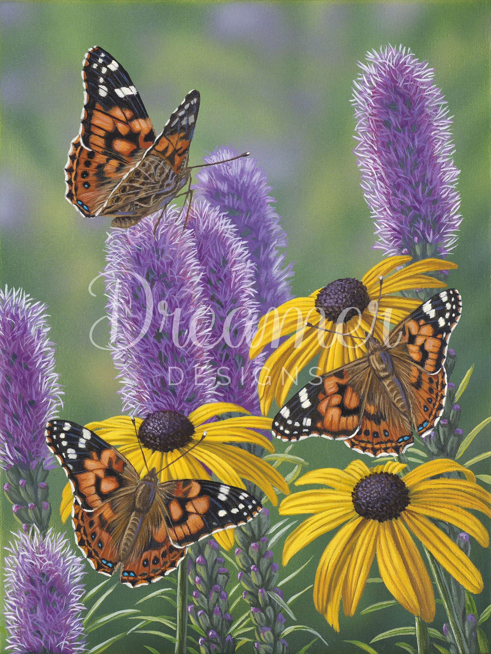 Painted Ladies