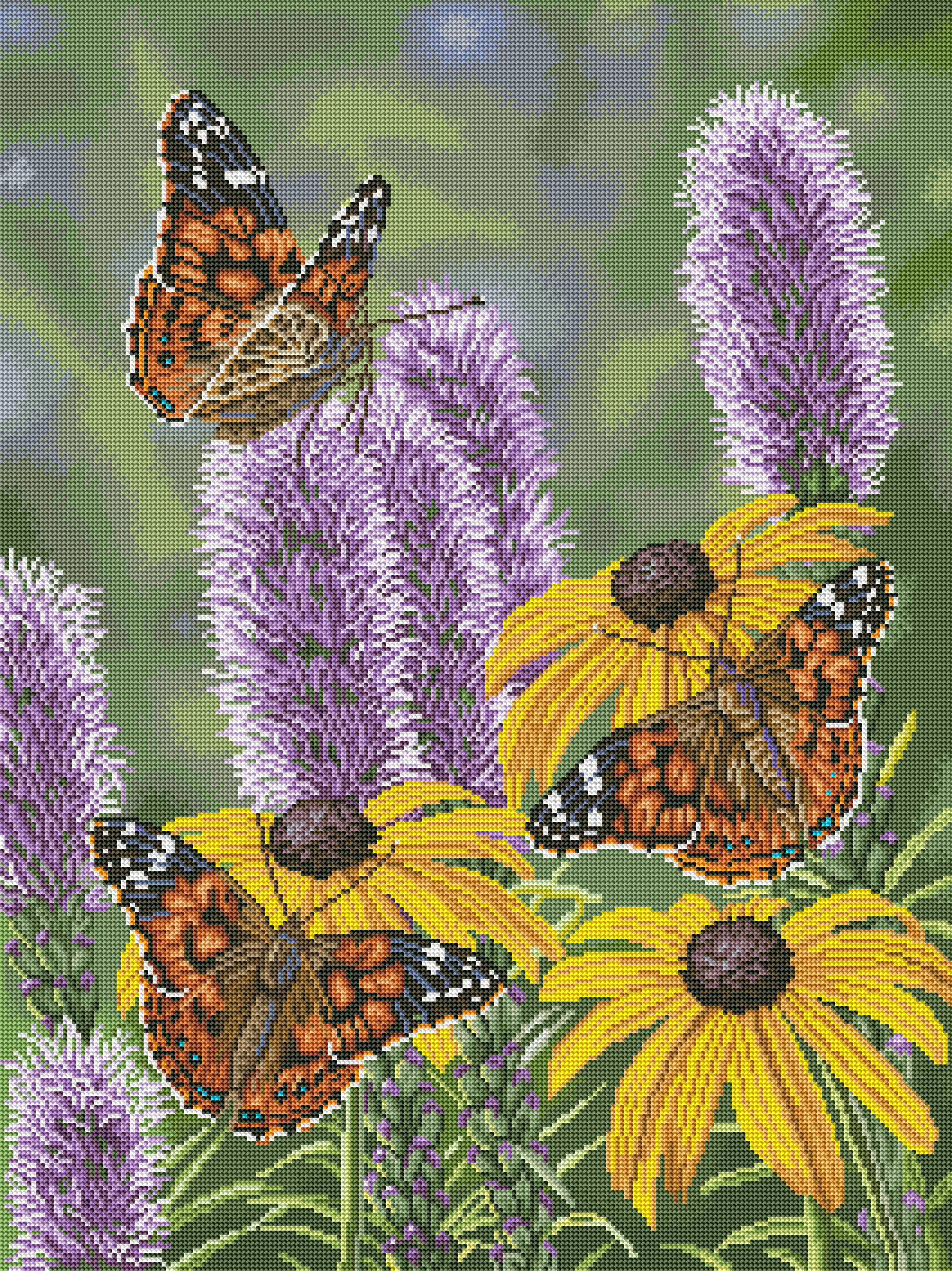 Painted Ladies - Image 2