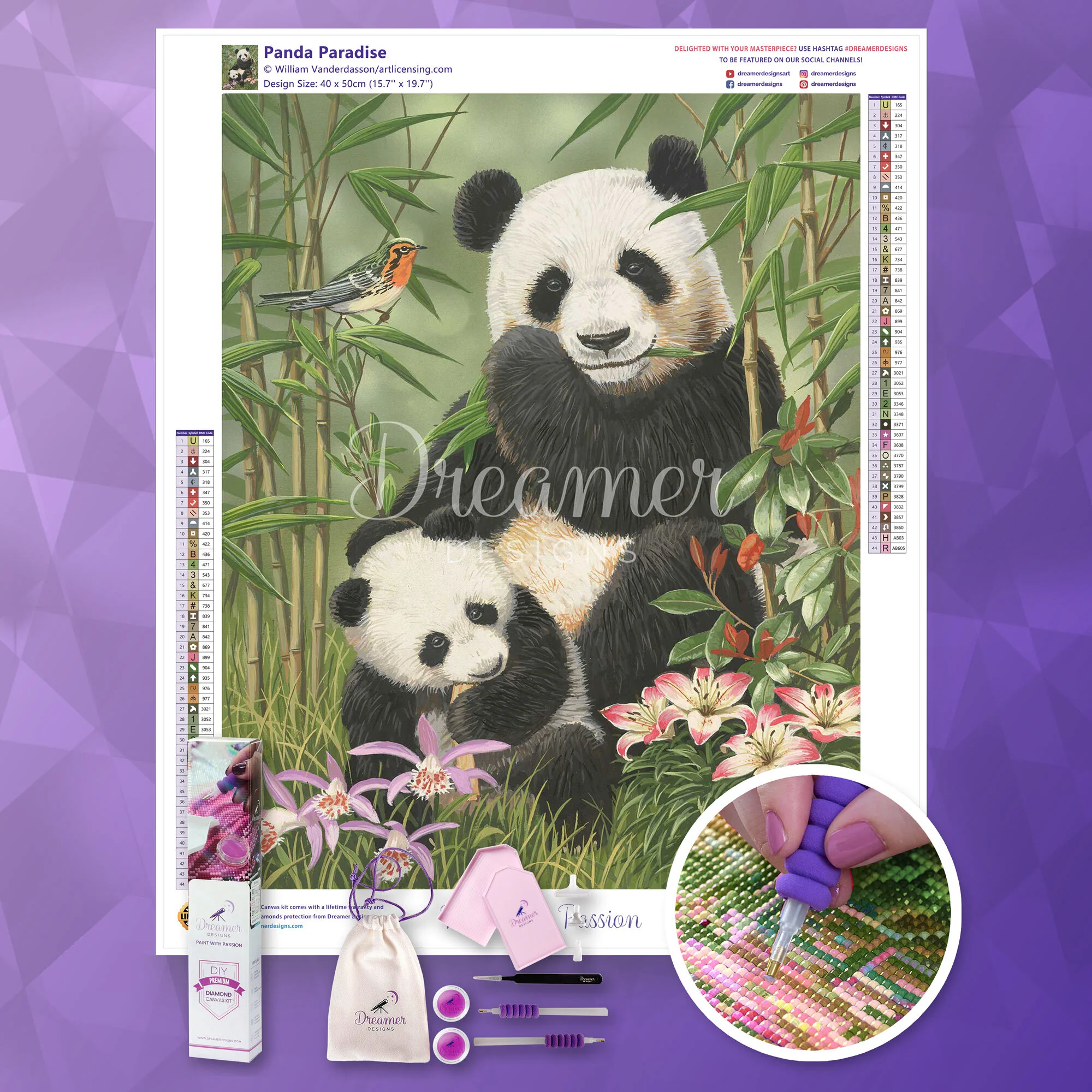 Panda Paradise (2025) - Image 4