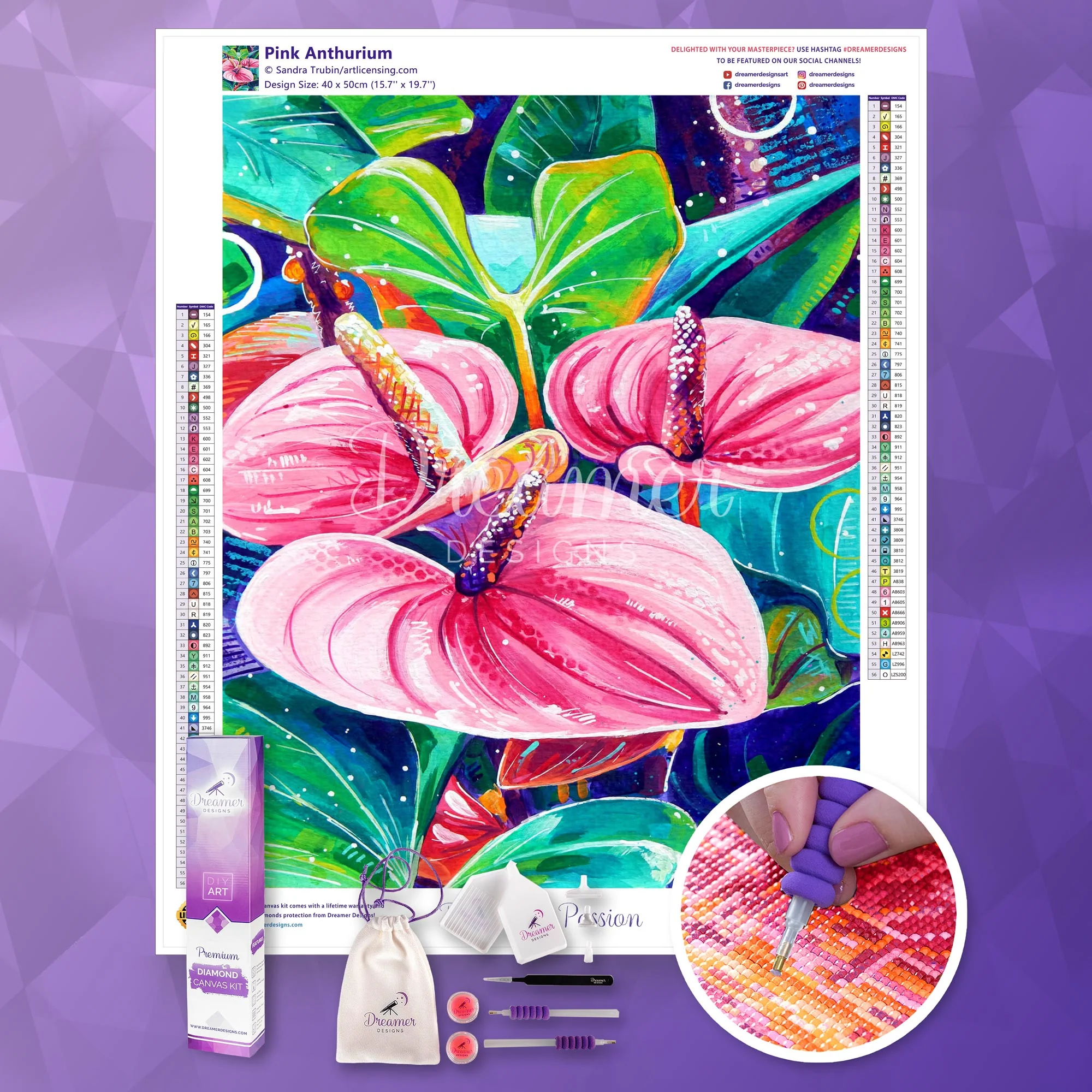 Pink Anthurium - Image 3