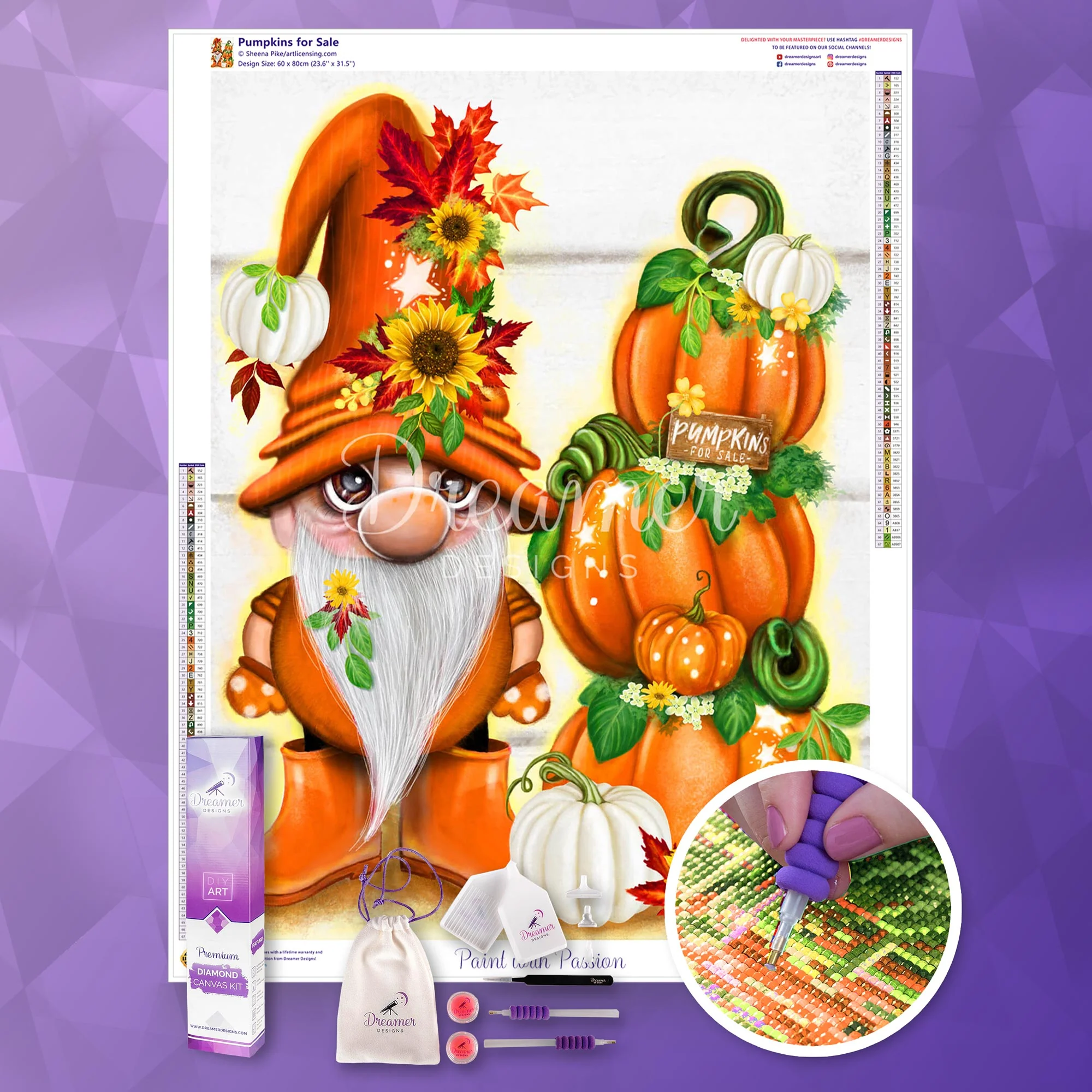 Pumpkins for Sale - Image 3