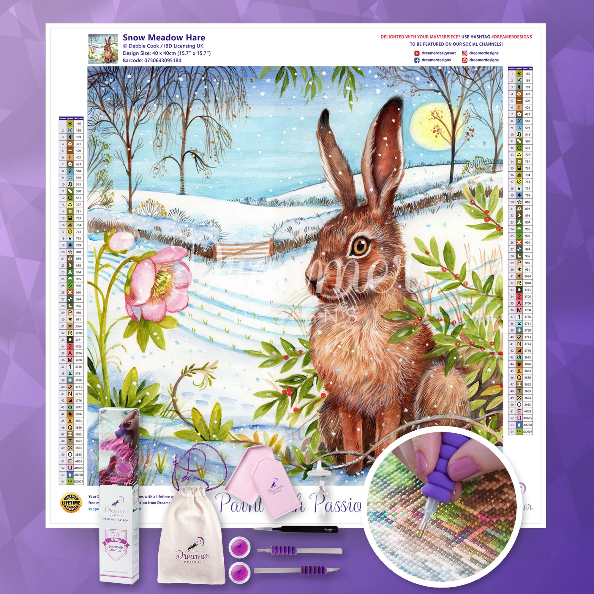 Snow Meadow Hare - Image 4