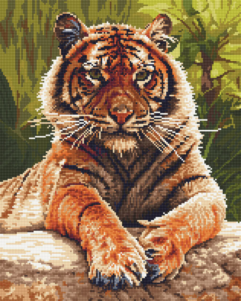 Sumatran Tiger - Image 2