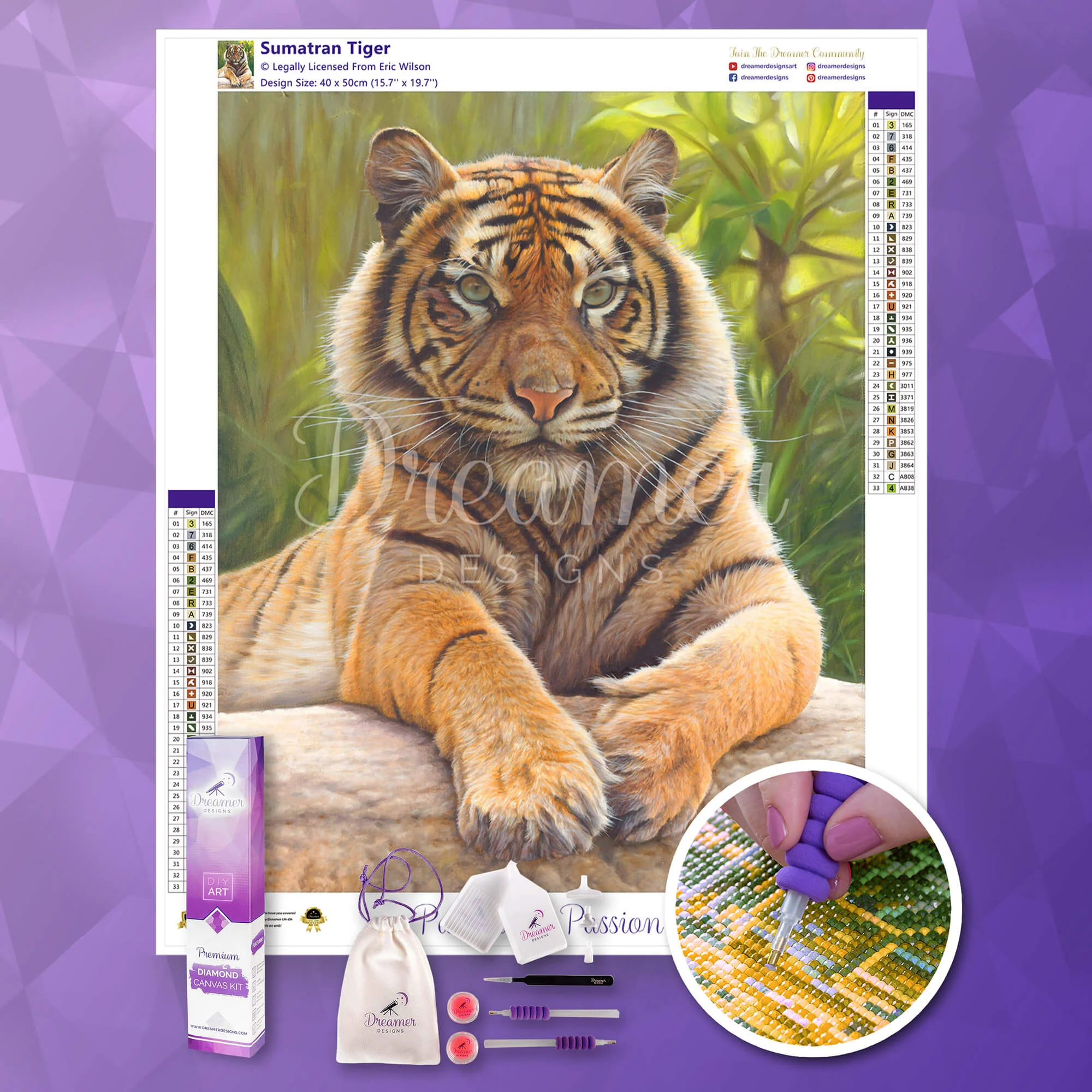 Sumatran Tiger - Image 3