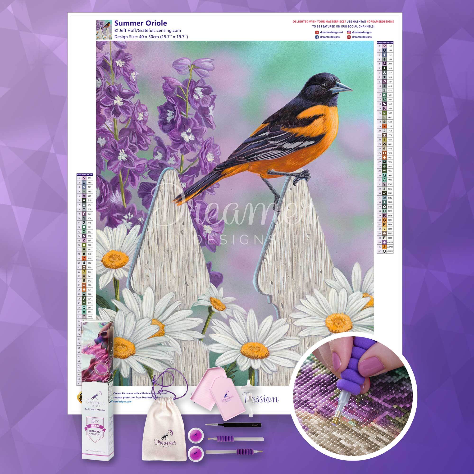 Summer Oriole - Image 4