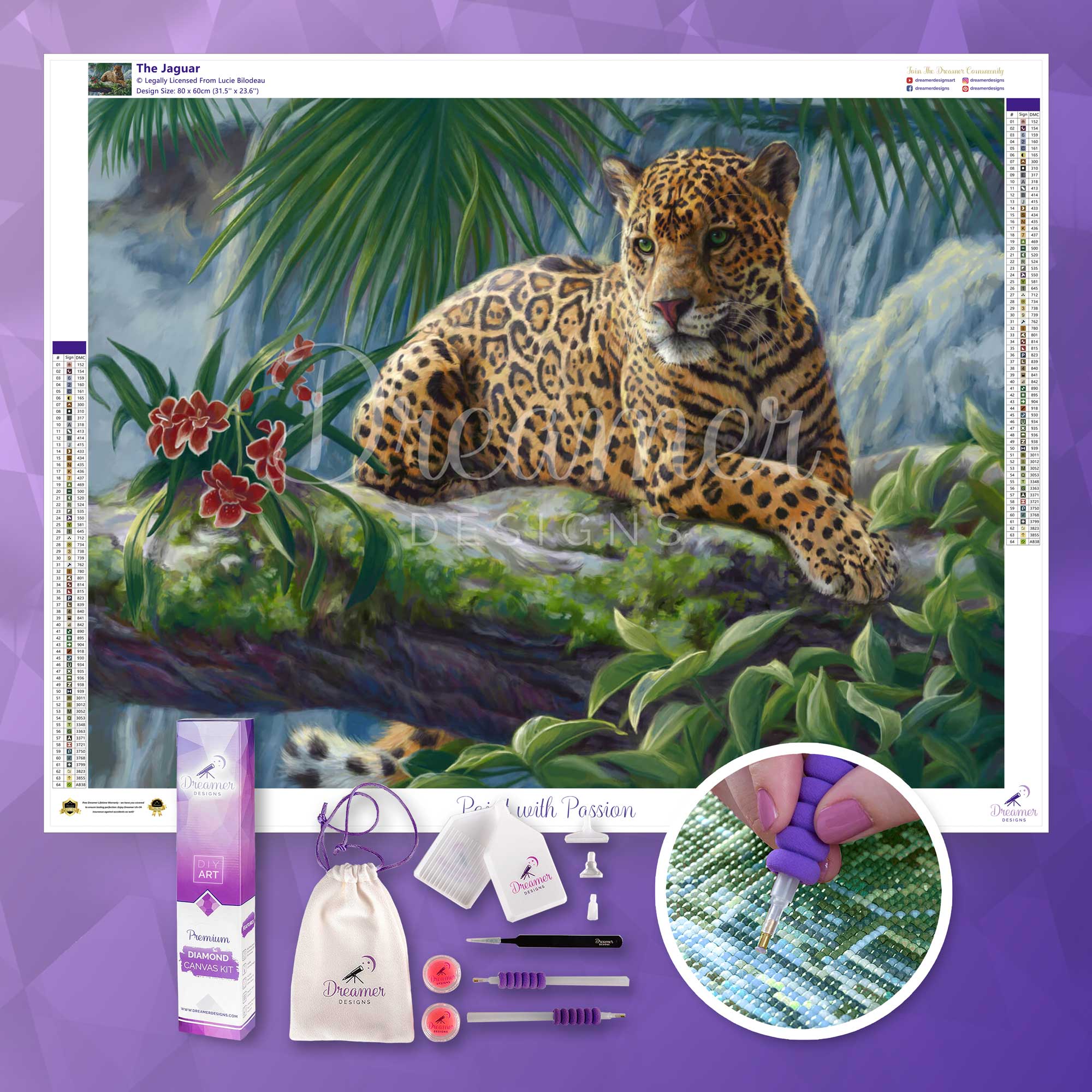 The Jaguar - Image 3