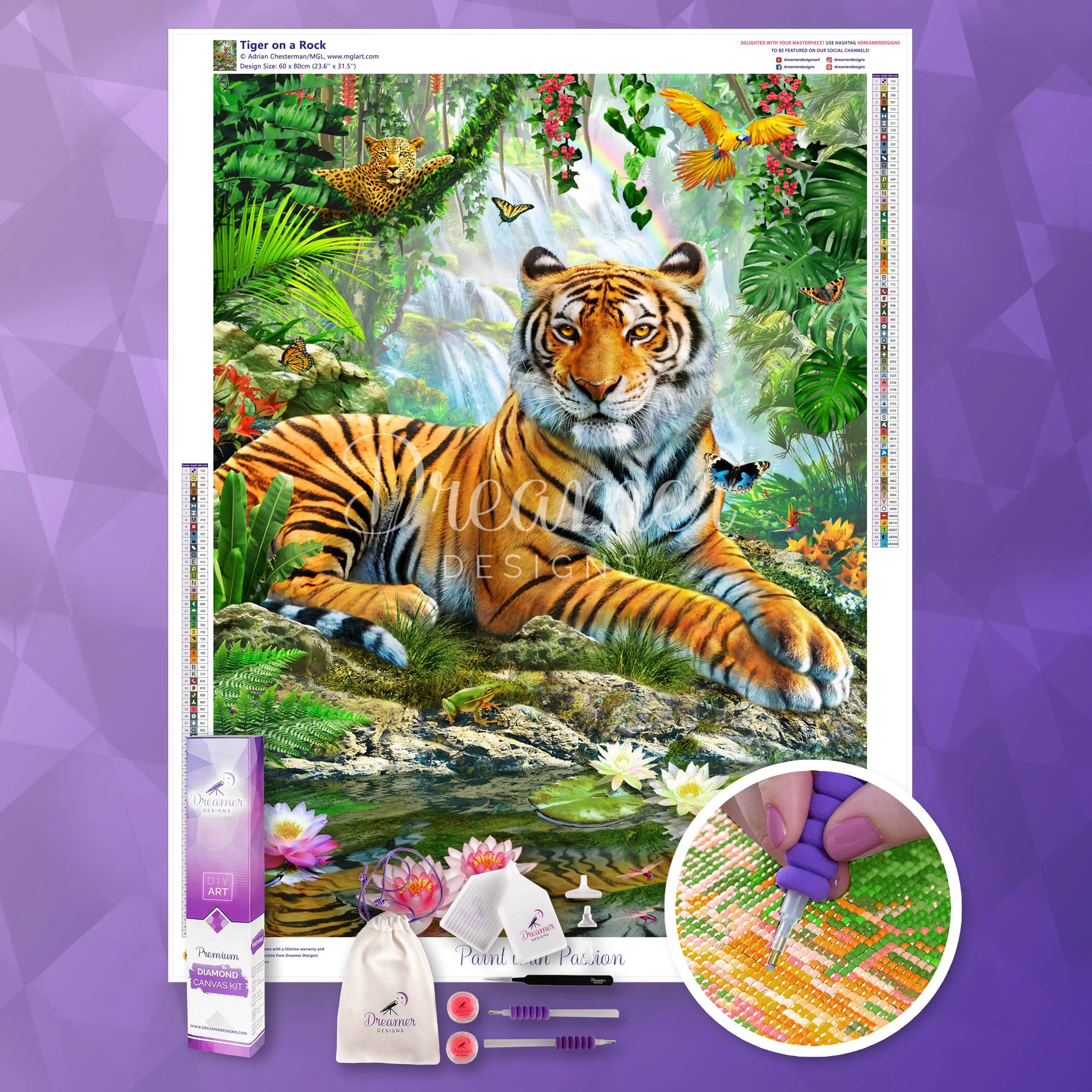 Tiger on a Rock - Image 3