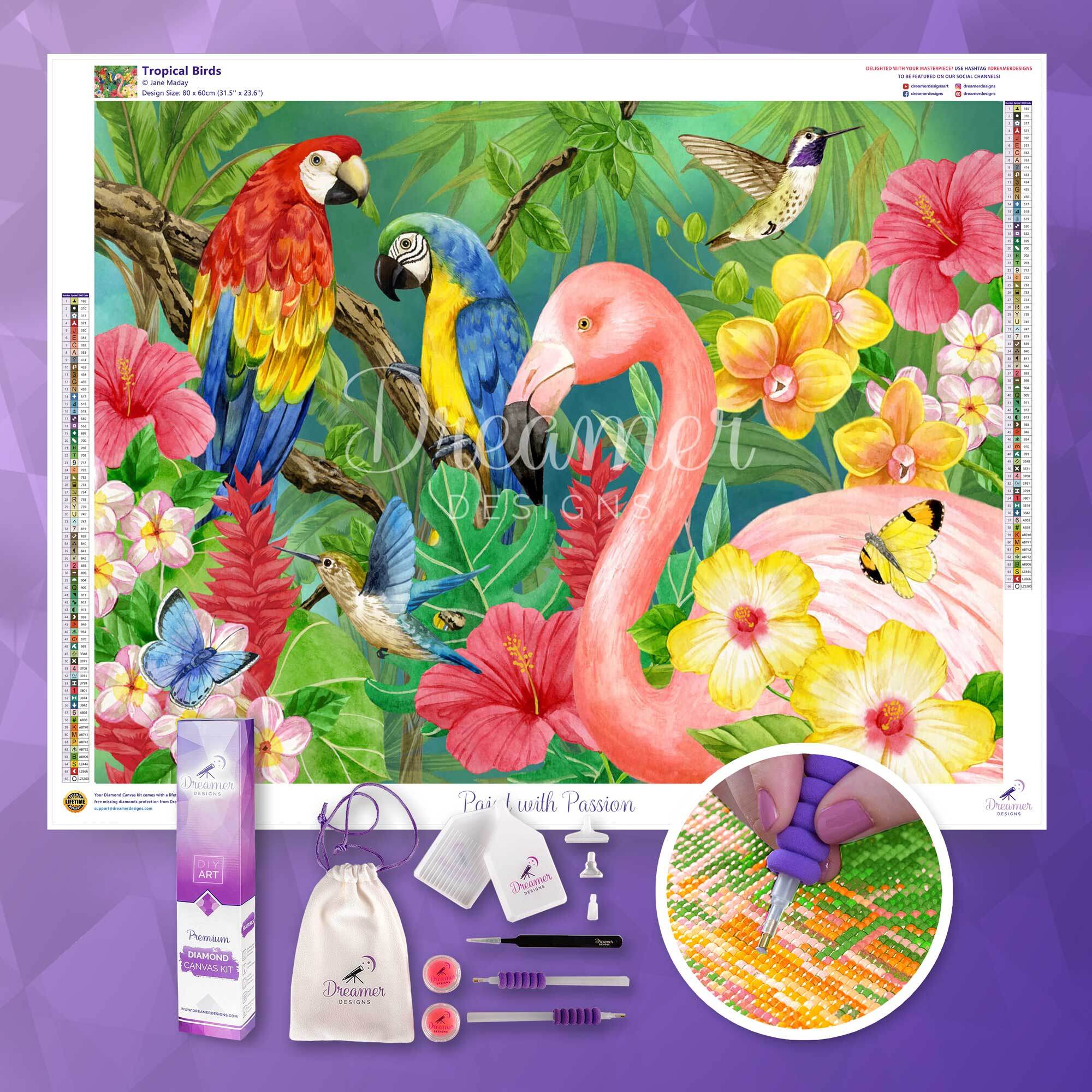 Tropical Birds - Image 3