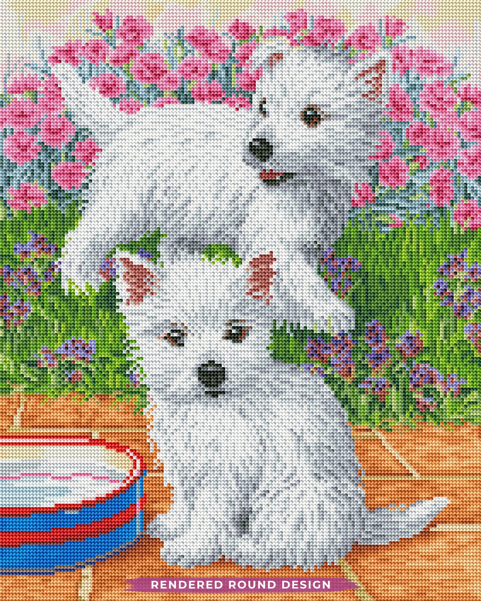 Westie Pups - Image 3