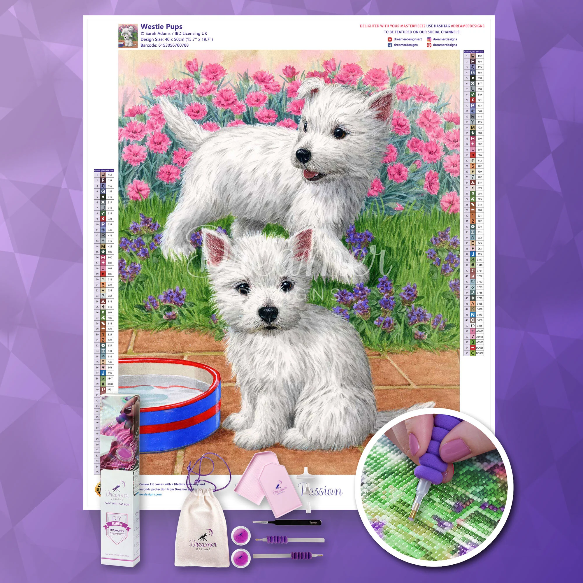 Westie Pups - Image 4