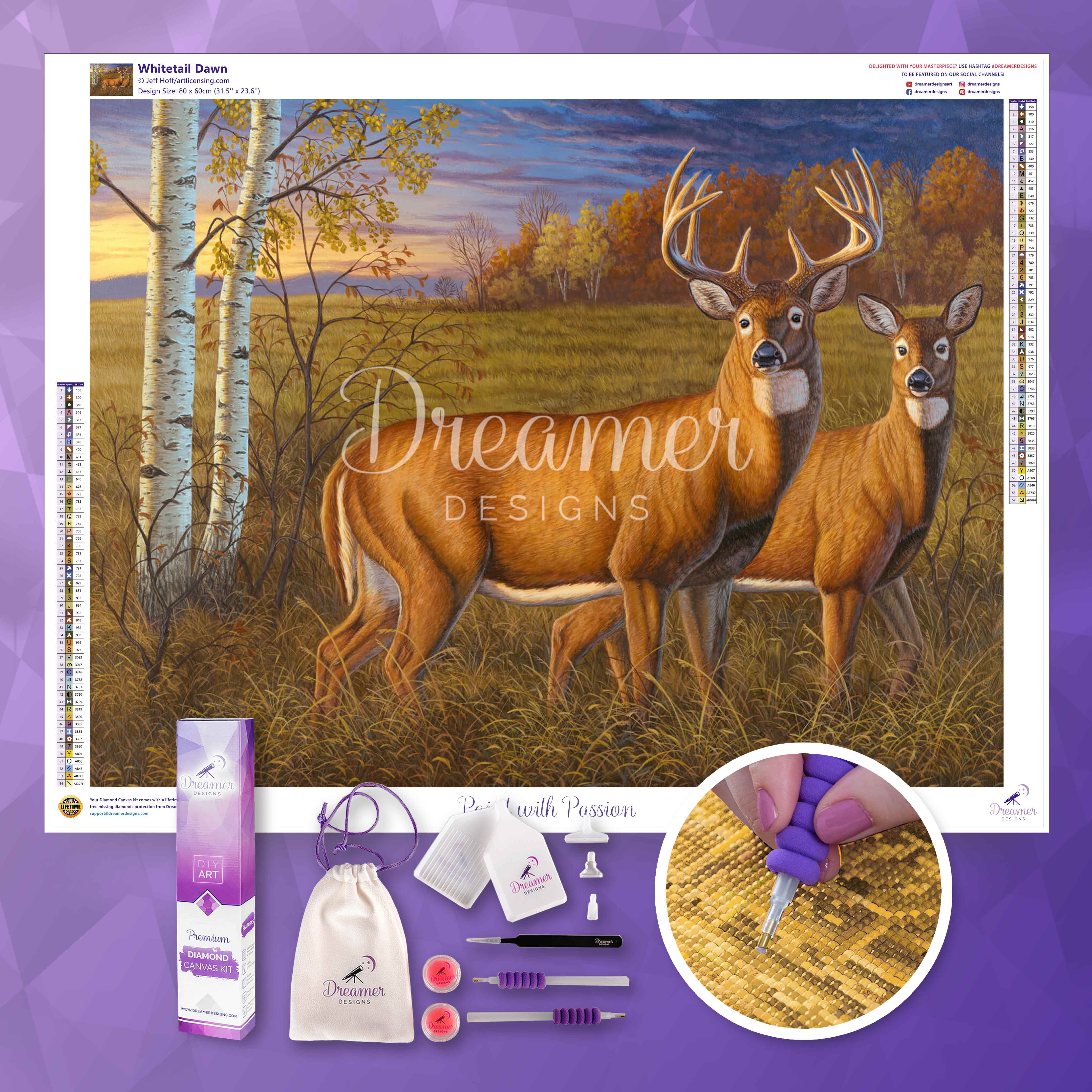Whitetail Dawn - Image 3